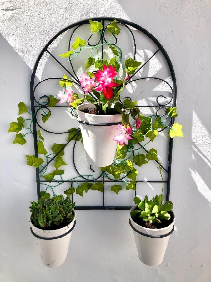 Gatu Premium Villa Lurberri Piscina Privada, 4 Dormitorios, 2 Banos, Parking , Jardines, " Preferente Mayores De 25 Anos Y Familias " In Y Barbacoa 奇克拉纳－德拉弗龙特拉 外观 照片